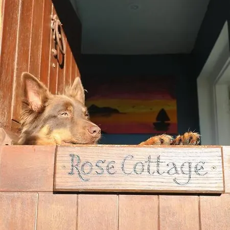 Newly Renovated Entire Residential Beach, County Waterford Hébergement de vacances